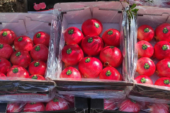 thumbs_IMG-20211107-WA0141