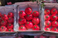 thumbs_IMG-20211107-WA0145