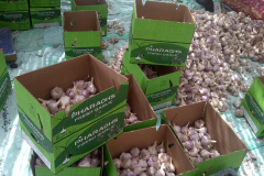 thumbs_IMG-20211107-WA0146