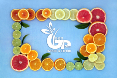 thumbs_IMG-20211107-WA0147