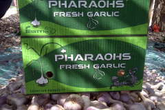 thumbs_IMG-20211107-WA0148