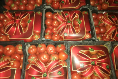 thumbs_IMG-20211107-WA0149