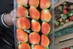 thumbs_IMG-20211107-WA0151