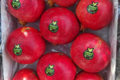 thumbs_IMG-20211107-WA0152