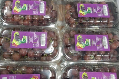 thumbs_WhatsApp-Image-2023-10-03-at-11.38.53-AM-3