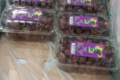 thumbs_WhatsApp-Image-2023-10-03-at-11.38.53-AM-5