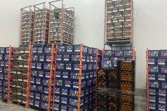 thumbs_WhatsApp-Image-2023-10-03-at-11.38.54-AM-1