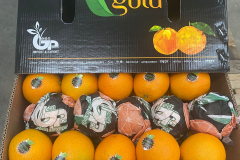 thumbs_WhatsApp-Image-2023-10-03-at-11.38.54-AM-2