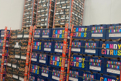 thumbs_WhatsApp-Image-2023-10-03-at-11.38.54-AM