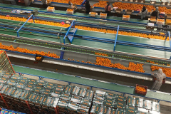 thumbs_WhatsApp-Image-2023-10-03-at-11.38.55-AM