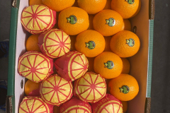 thumbs_WhatsApp-Image-2023-10-03-at-11.38.56-AM