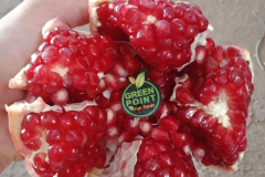 thumbs_WhatsApp-Image-2023-10-15-at-1.15.15-PM