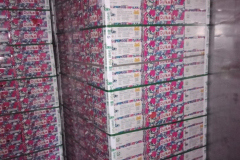 thumbs_WhatsApp-Image-2023-10-15-at-1.15.17-PM-1