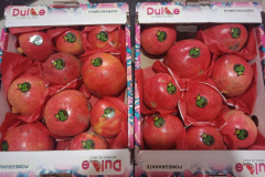 thumbs_WhatsApp-Image-2023-10-15-at-1.15.17-PM-2