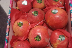 thumbs_WhatsApp-Image-2023-10-15-at-1.15.17-PM-3