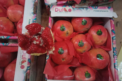 thumbs_WhatsApp-Image-2023-10-15-at-1.15.17-PM