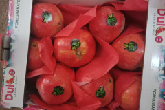 thumbs_WhatsApp-Image-2023-10-15-at-1.15.19-PM