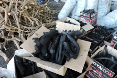 IMG-20211107-WA0004
