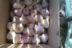 IMG-20211107-WA0013